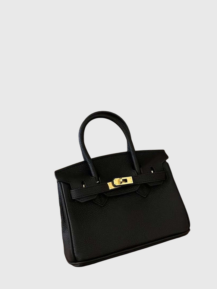 Colette | Structured Petite Lock Bag